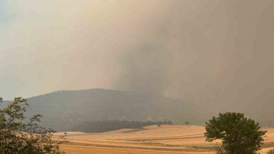 Sakarya’da çıkan ve Bilecik’e sıçrayan orman yangını kısmen kontrol altına