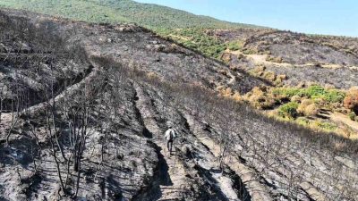 Bilecik’te geçtiğimiz ay yaşanan orman yangını sonrası bir köy ve