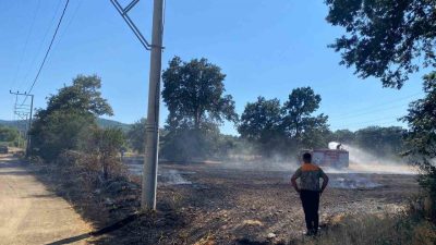 Bilecik’in Pazaryeri ilçesine bağlı Demirköy-Kurtköy bölgesinde yer alan buğday tarlasında