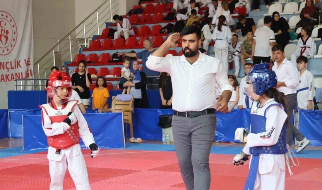 Bilecik’te Taekwondo Minikler İl Seçmesi tamamlandı Bilecik’te Atatürk Spor Salonu’nda düzenlenen Taekwondo Minikler İl Seçmesi Müsabakaları
