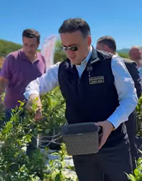 Bilecik’te yaban mersini hasadı Bilecik Valisi Faik Oktay Sözer, Sarnıç Köyü’nde düzenlenen yaban mersini
