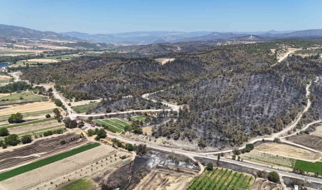 Bilecik’in Osmaneli ilçesinde 5 gündür devam eden yangın sonrasında kontrol