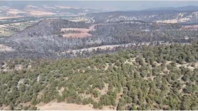 Sakarya’da çıkan ve Bilecik’e sıçrayan orman yangınında alevler bugün itibariyle