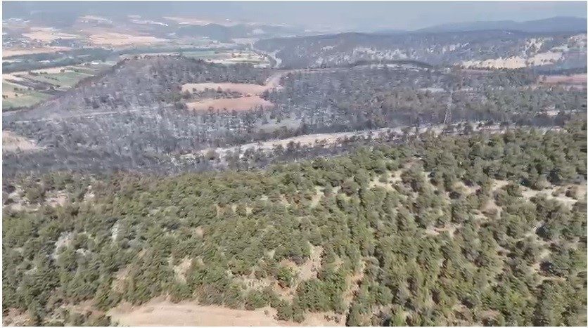 Sakarya’da çıkan ve Bilecik’e sıçrayan orman yangınında alevler bugün itibariyle