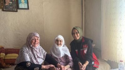 Bilecik Aile ve Sosyal Hizmetler İl Müdürlüğü bünyesindeki psikososyal destek