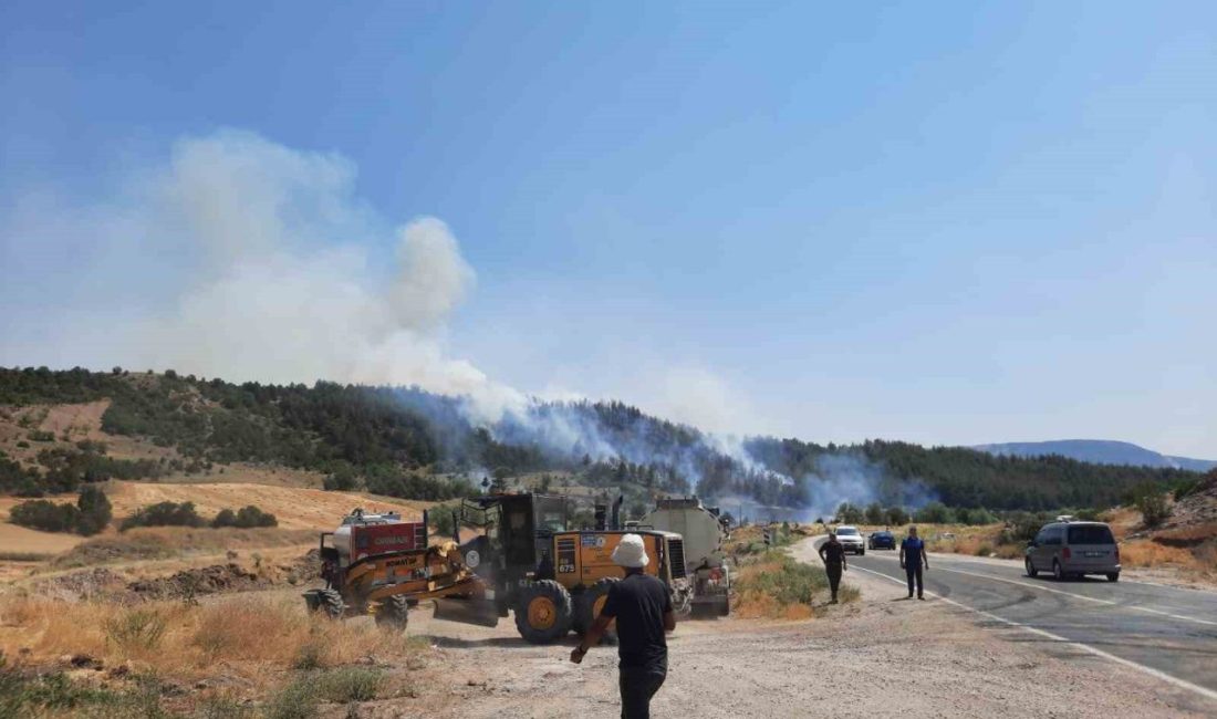 Bilecik’te yeni orman yangını Bilecik’in Gölpazarı ilçesi yakınlarında başlayan orman yangını söndürülmeye çalışılıyor. Gölpazarı