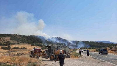 Bilecik’in Gölpazarı ilçesi yakınlarında başlayan orman yangını söndürülmeye çalışılıyor. Gölpazarı