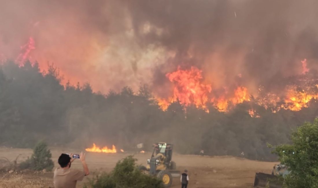 Bilecik’te 4 gün önce başlayan orman yangını bugün öğleden sonra