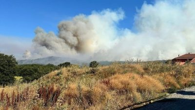 Bilecik’in Pazaryeri ilçesinde buğday tarlasında başlayan ve ormanlık alana sıçrayan
