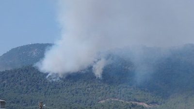 Bilecik’te bugün öğleden sonra yeniden alevlenen orman yangını rüzgarın etkisiyle