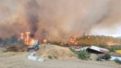 Bilecik’te bugün öğleden sonra yeniden başlayan orman yangınında alevler Kazancı
