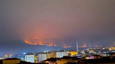 Sakarya’da çıkan ve Bilecik’e sıçrayan orman yangınında ilde boşaltılan köy