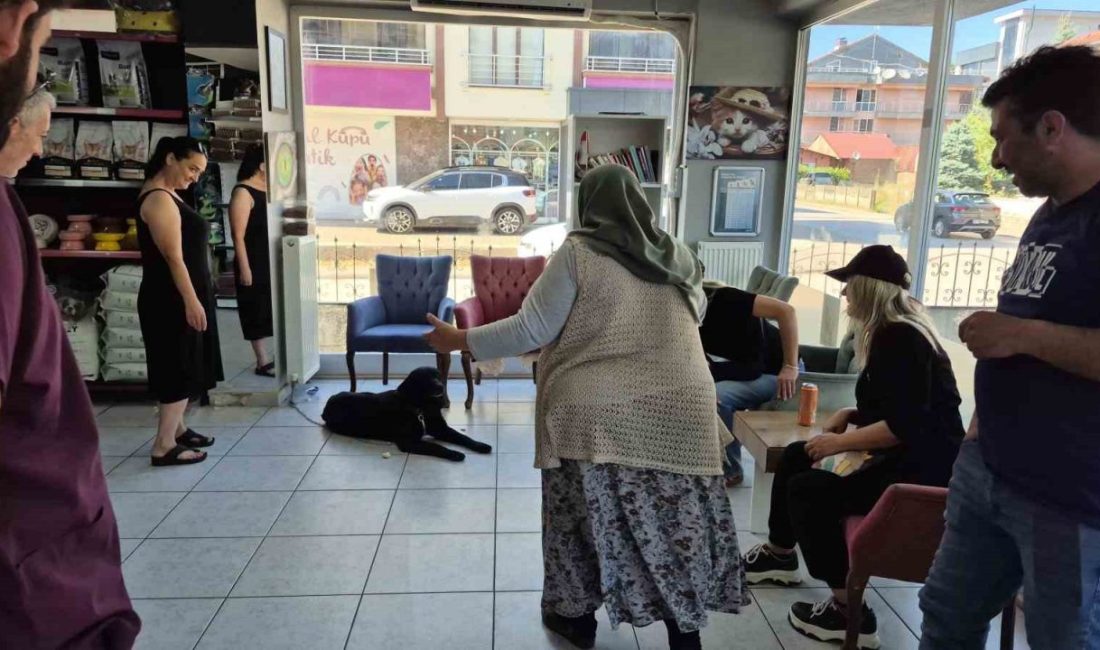 DÜZCE (İHA) – Yaklaşık bir yıl önce Düzce’nin Kaynaşlı ilçesinde