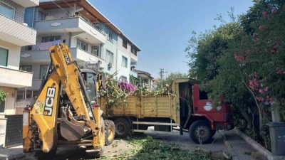 Körfez ilçesinde belediye ekipleri, park ve bahçelerde yapılan budama çalışmalarından