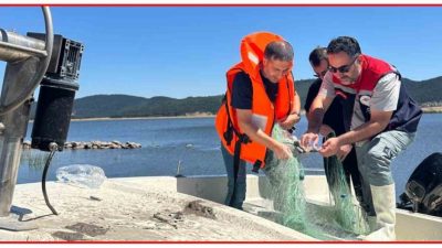 Bolu İl Tarım ve Orman Müdürlüğü ekipleri, Seben Taşlıyayla Göleti’nde