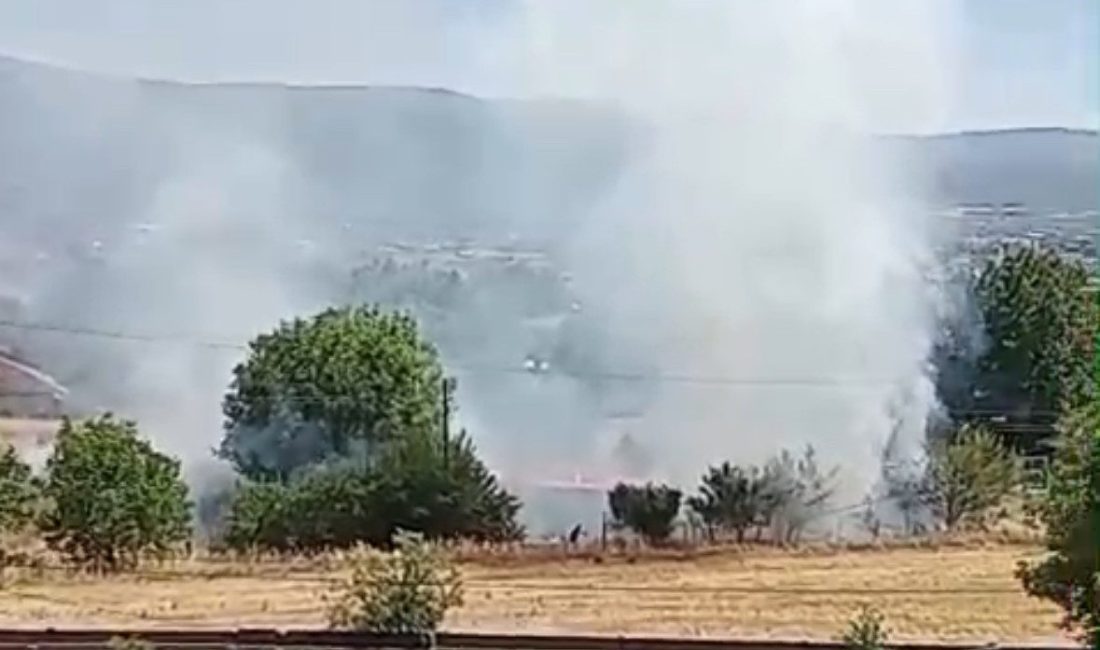 Bolu’da anız yangını korkuttu Bolu’nun Salıbeyler Mahallesi’nde kuru otların bulunduğu alanda anız yangını çıktı.