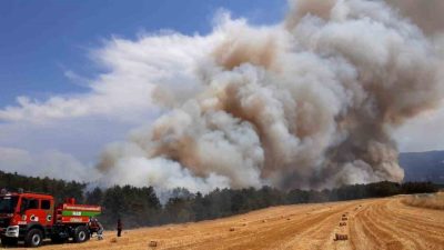 Bolu’nun Mudurnu ilçesinde anız tarlasında başlayan yangın, rüzgarın da etkisiyle