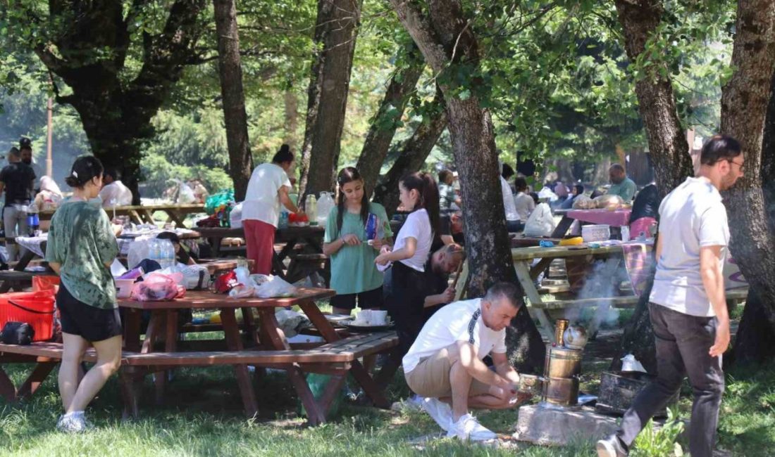 Bolu Valiliği, orman yangınları riskine karşı il genelinde kontrollü piknik