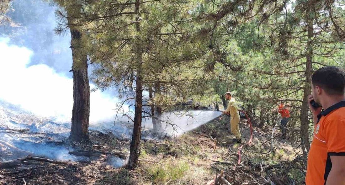 Bolu’da çıkan orman yangını büyümeden söndürüldü Bolu’nun Göynük ilçesinde sarp arazide çıkan orman yangını, ekiplerin yoğun