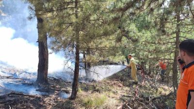 Bolu’nun Göynük ilçesinde sarp arazide çıkan orman yangını, ekiplerin yoğun