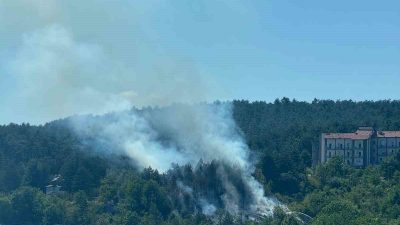 Bolu’da Çakmaklar Mahallesi’nde ormanlık alanda çıkan yangın, büyümeden söndürüldü. Yangının