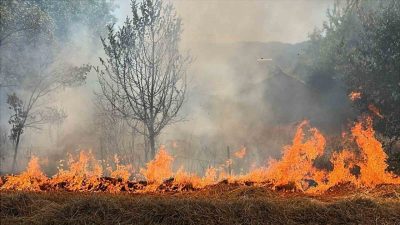 Bolu’da Vakıfgeçitveren köyünde evlerin dibinde bulunan tarım arazisinde anız yangını