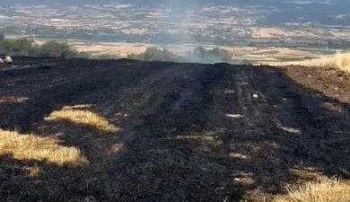 Bolu’nun Saraycık köyünde kuru otların bulunduğu alanda anız yangını çıktı.