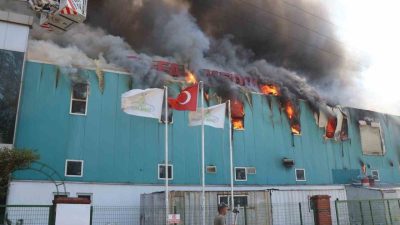 Bolu’da medikal ürünler üreten bir fabrikada yangın çıktı. İhbar üzerine