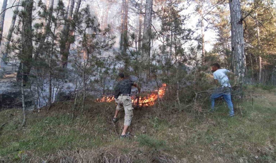 Bolu’da orman yangını başladı Bolu’nun Mudurnu ilçesi Yüzüncü Yıl köyü yolu üzerinde ormanlık alanda