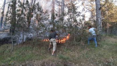 Bolu’nun Mudurnu ilçesi Yüzüncü Yıl köyü yolu üzerinde ormanlık alanda