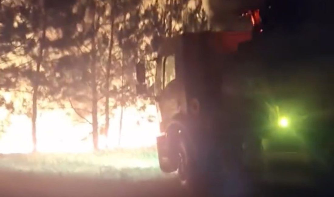 Bolu’da örtü yangını ormana sıçramadan söndürüldü Bolu’da tarım arazisi ile ormanlık alan arasında çıkan örtü yangını,
