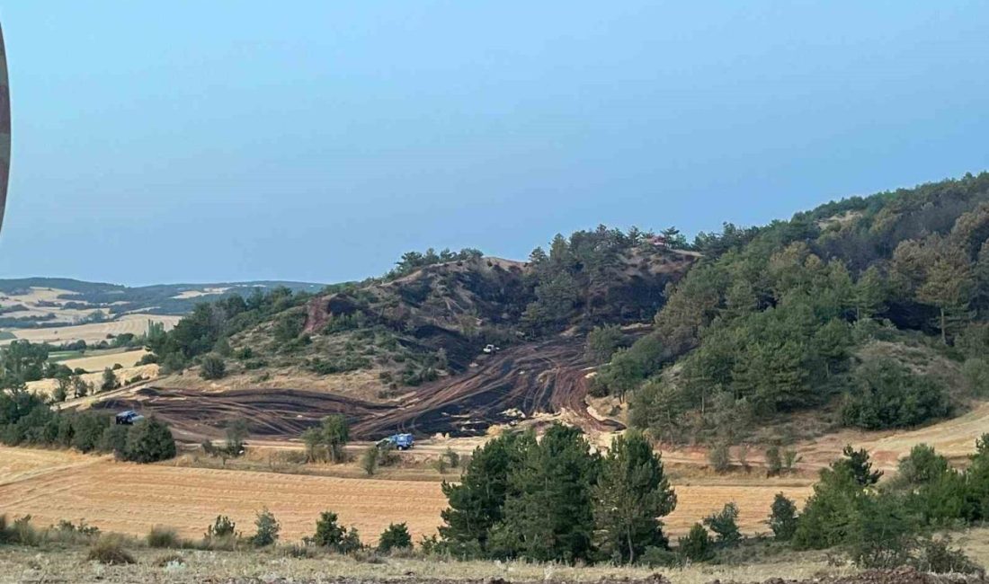 Bolu’daki orman yangını kontrol altına alındı Bolu’nun Göynük ilçesine bağlı Kızılkuyu köyü yakınlarındaki ormanlık alanda çıkan