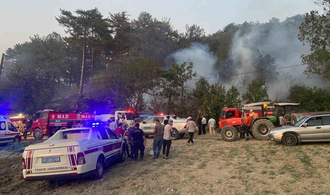 Bolu’nun Mudurnu ilçesinde ormanlık alanda çıkan yangın, ekiplerin havadan ve