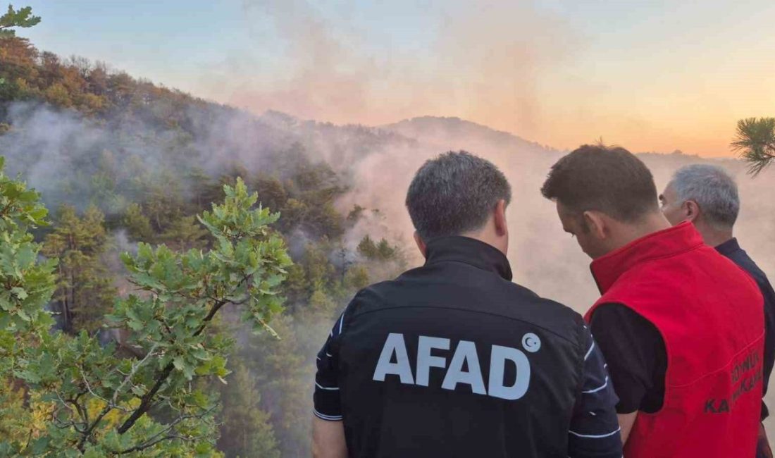 Bolu’daki orman yangını kontrol altına alındı Bolu’nun Göynük ilçesine bağlı Karaardıç köyü civarındaki ormanlık alanda çıkan