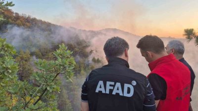 Bolu’nun Göynük ilçesine bağlı Karaardıç köyü civarındaki ormanlık alanda çıkan
