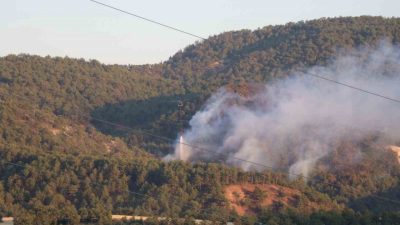 Bolu’nun Göynük ilçesinde ormanlık alanda çıkan yangına 160 personel ve
