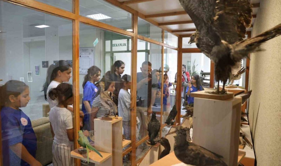 Botanik bahçesi öğrencilerin ilgisini çekti Düzce Gençlik ve Spor İl Müdürlüğüne Gençlik Merkezi Yaz Kulübü