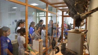 Düzce Gençlik ve Spor İl Müdürlüğüne Gençlik Merkezi Yaz Kulübü