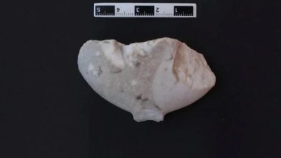 Bilecik’te 2019-2023 yılları arasında Gedikkaya Mağarası’nda yapılan kazılarda arkeoloji tarihi