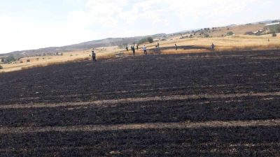 Kastamonu’nun Devrekani ilçesinde çıkan yangında 15 dönümlük buğday ekili tarlalar