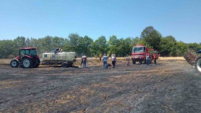 Bilecik’in Bozüyük ilçesine bağlı Karaağaç köyünde çıkan yangında yaklaşık 10