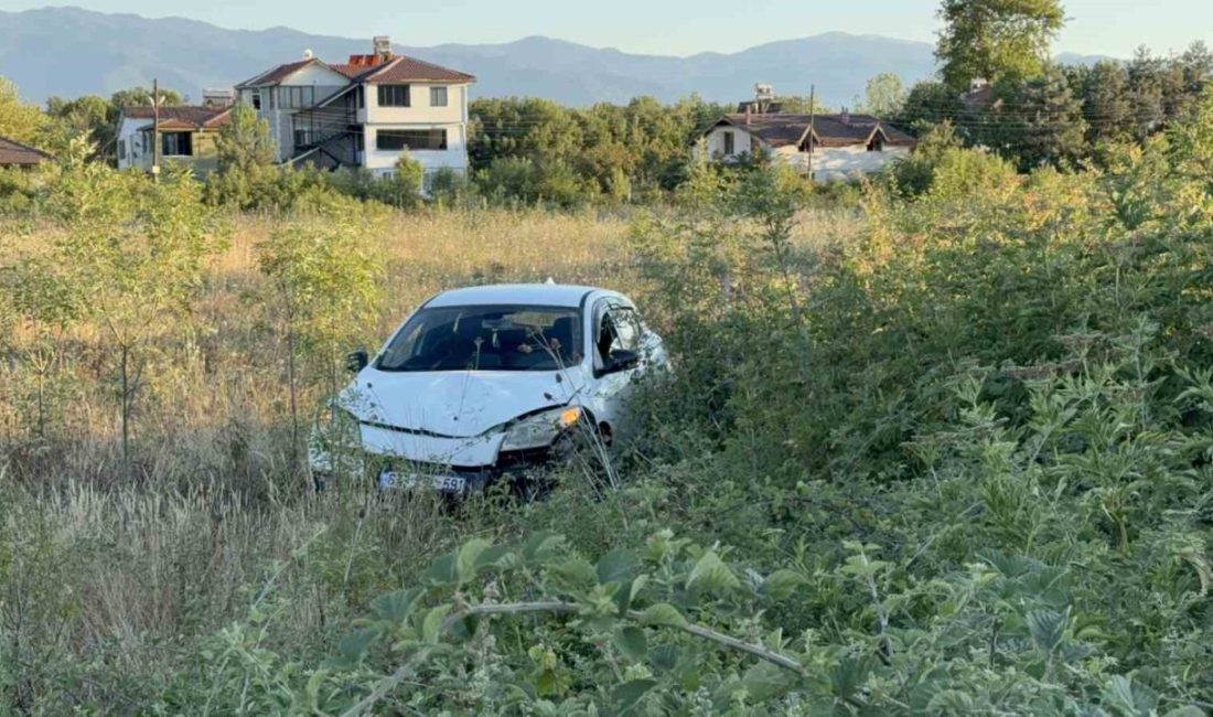 Büyükbaş hayvana çarpmamak için manevra yapınca aracı şarampole uçtu: 1 yaralı Düzce’de sürücünün yol üzerindeki büyükbaş hayvana çarpmamak için manevra yaptığı