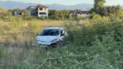 Düzce’de sürücünün yol üzerindeki büyükbaş hayvana çarpmamak için manevra yaptığı