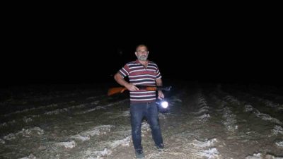 Kastamonu’nun Taşköprü ilçesinde hasadı devam eden Taşköprü sarımsağını hırsızlardan korumak