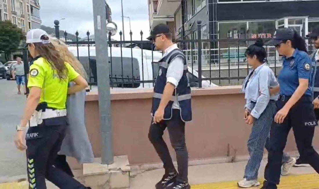 Yalova’nın Çınarcık ilçesinde tatile gelmiş yazlıkçı gibi davranarak apartman dairelerinden