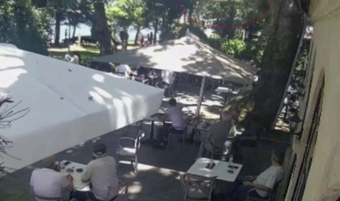 Kocaeli’nin Gölcük ilçesinde dün çınar ağacından kopan dalın üzerlerine düşmesi