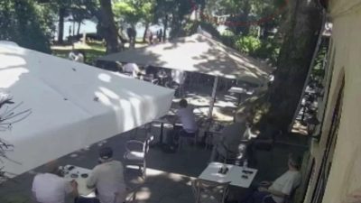 Kocaeli’nin Gölcük ilçesinde dün çınar ağacından kopan dalın üzerlerine düşmesi