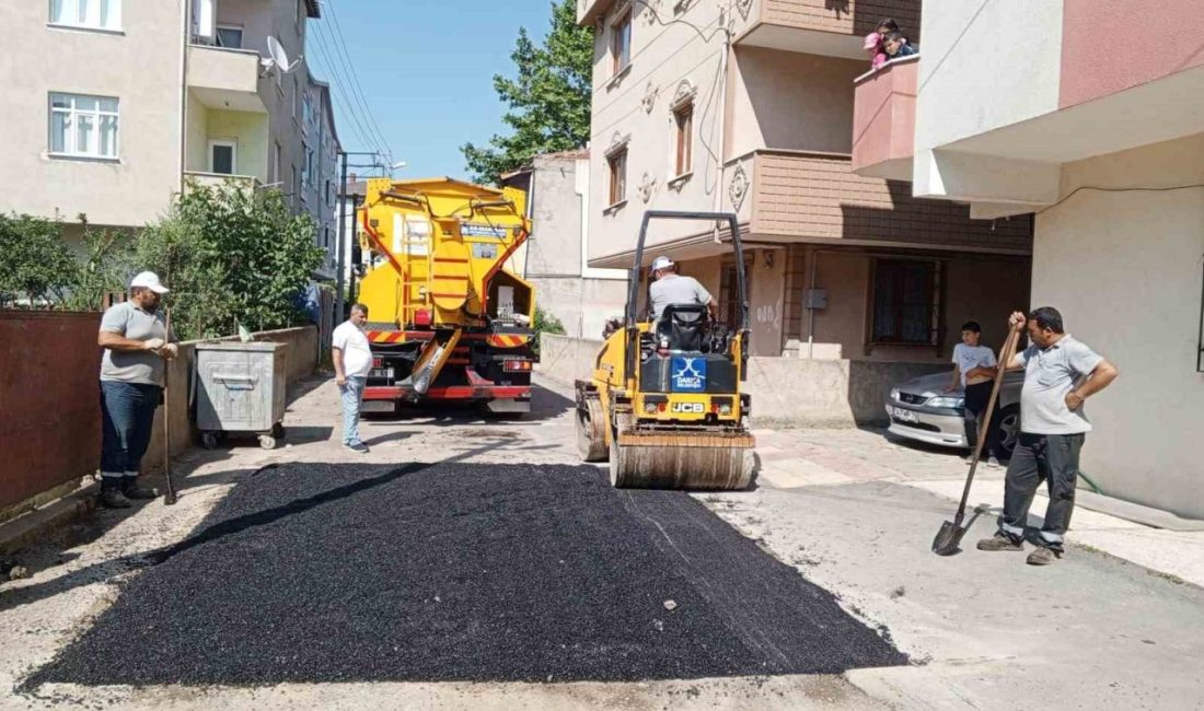 Darıca’da tüm mahallelerde kapsamlı temizlik ve çevre düzenleme çalışmaları başlatıldı.