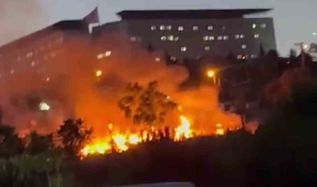 Darıca Millet Bahçesi’nde çıkan yangın söndürüldü Kocaeli’nin Darıca ilçesinde bulunan millet bahçesinde çıkan yangın, itfaiye ekipleri