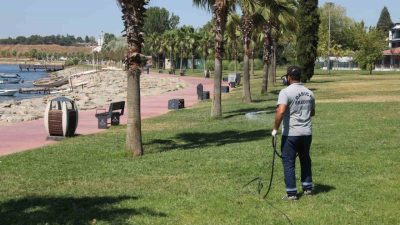 Darıca Belediyesi, sıcak havaların etkisiyle artış gösteren sinek ve haşere